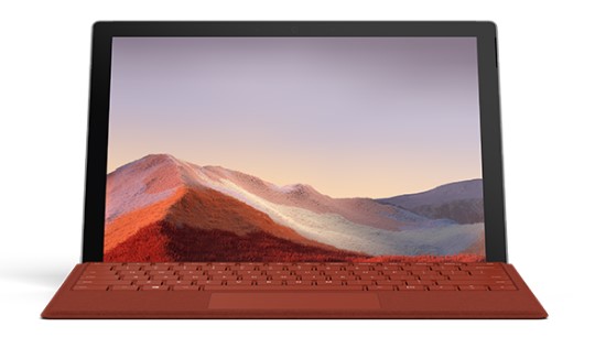 奉节清洁和维护 Surface